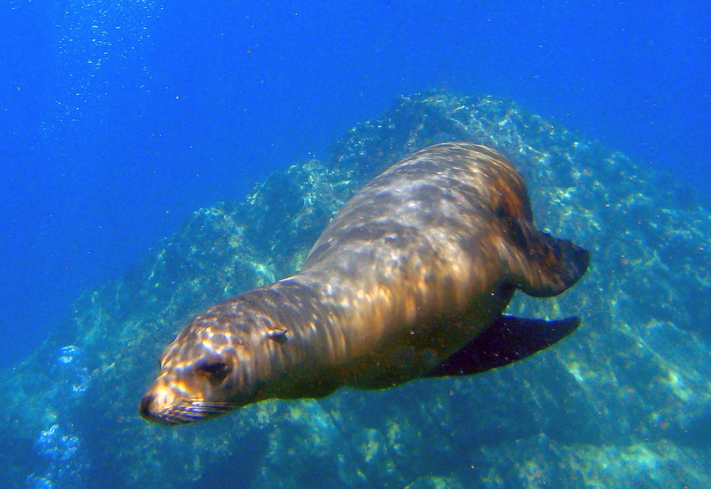 Photograph by Галина Михоношина