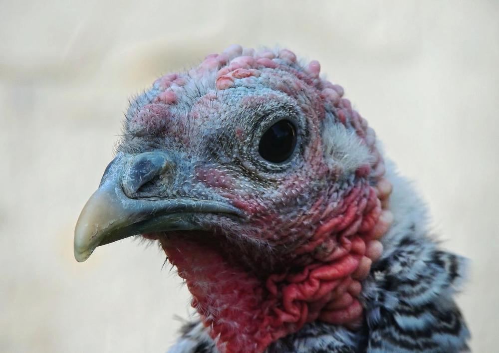 Photograph by Роман Савоцкий