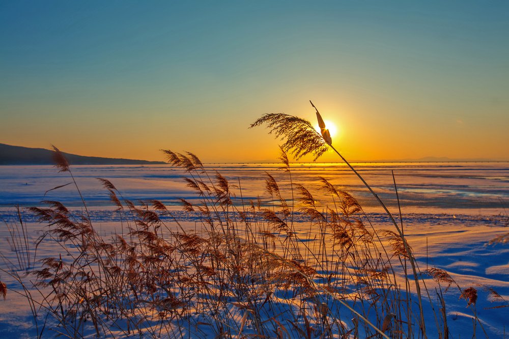 Photograph by Иван Радьков