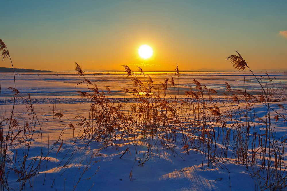 Photograph by Иван Радьков