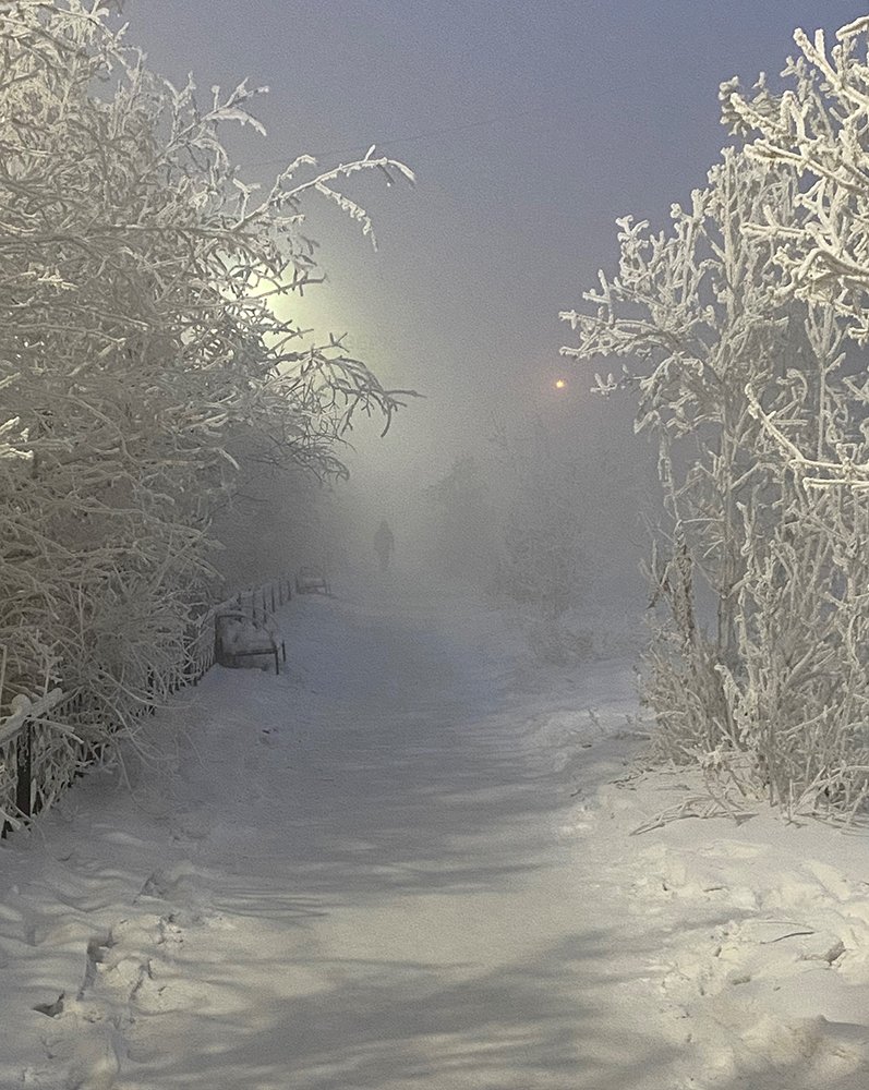 Мороз и туман в городе