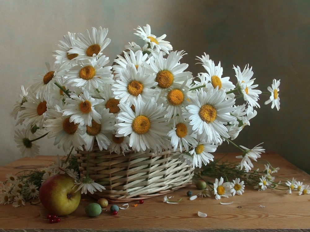Ромашки в корзине