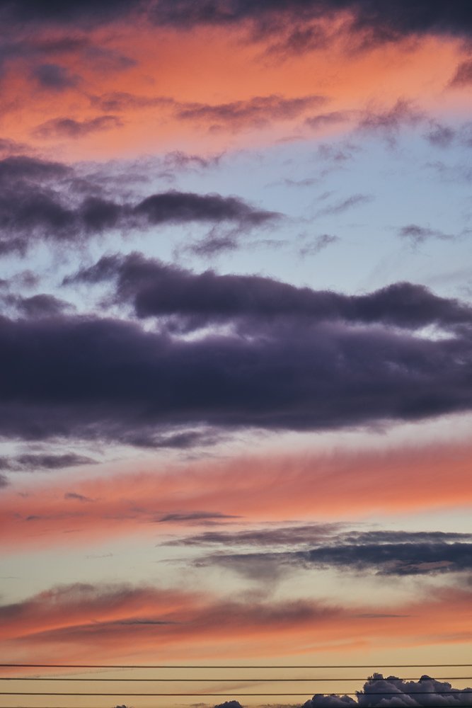 Photograph by DAVEY WOODFORD