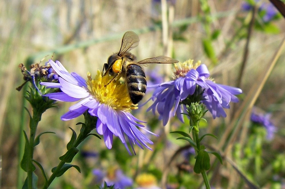 Photograph by Петр Калинкин