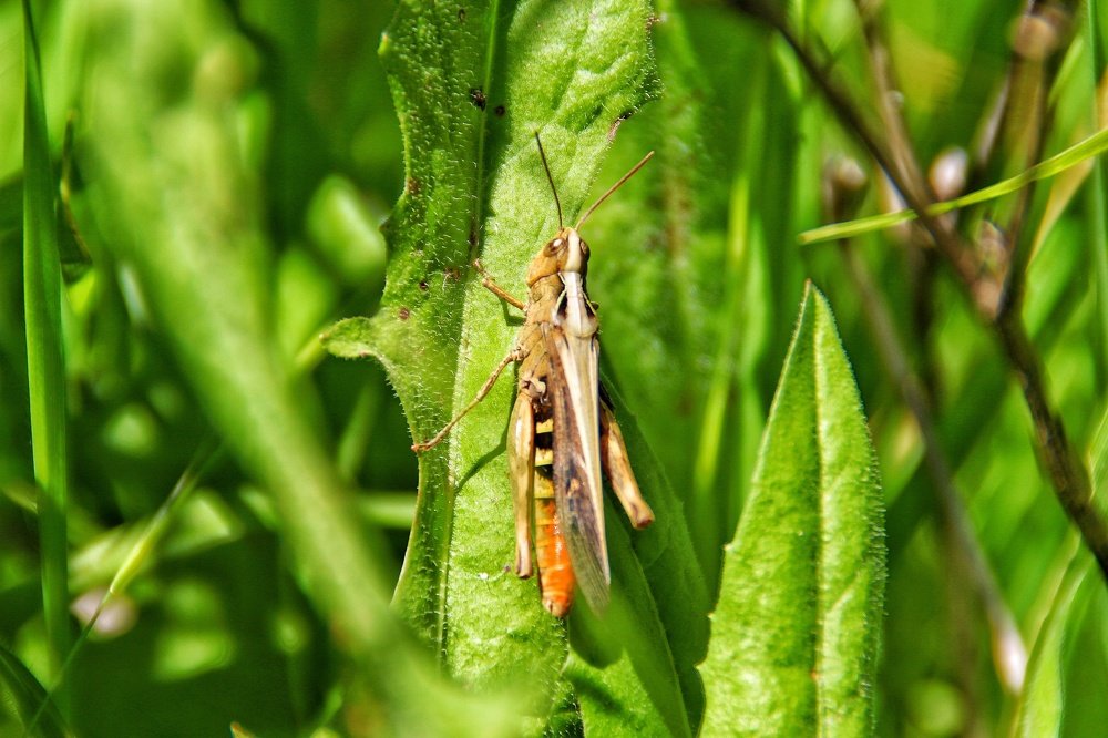 Photograph by Baha Ghaderi