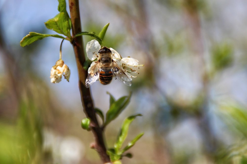 Photograph by Baha Ghaderi