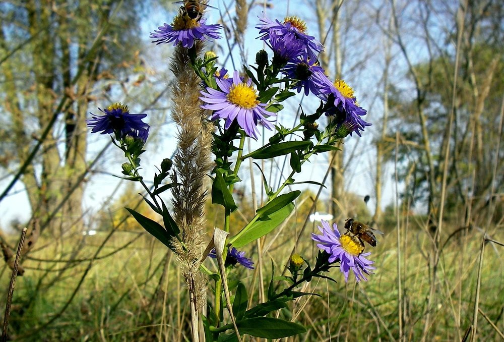 Photograph by Петр Калинкин