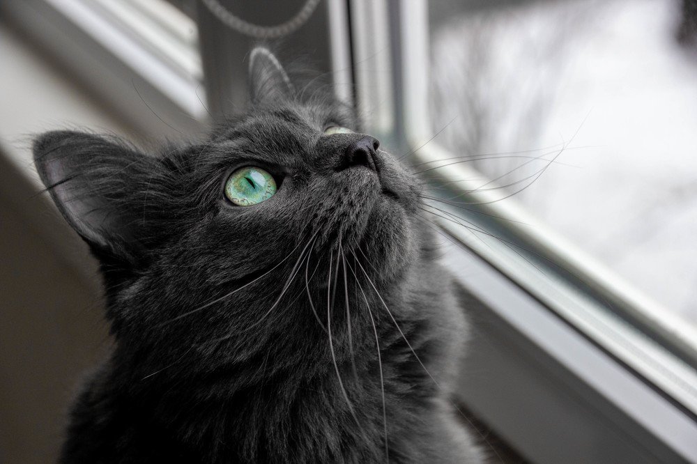 Photograph by Александр Доминов