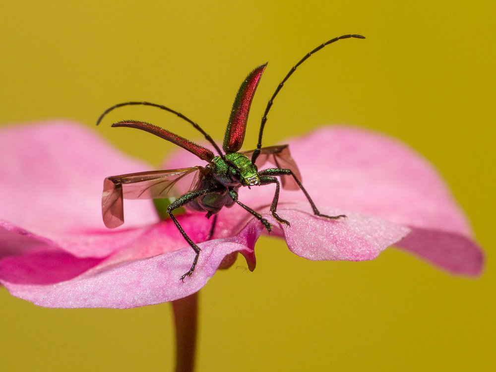 Photograph by Esteban Argerich