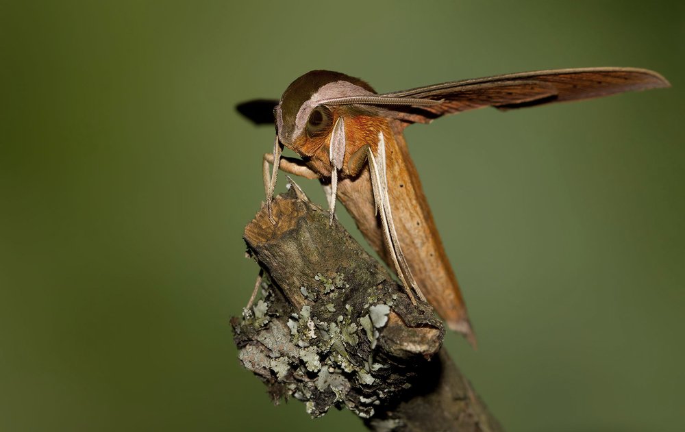 Photograph by Esteban Argerich