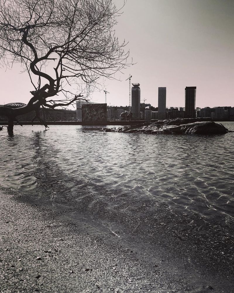 Photograph by Oksana Troshina