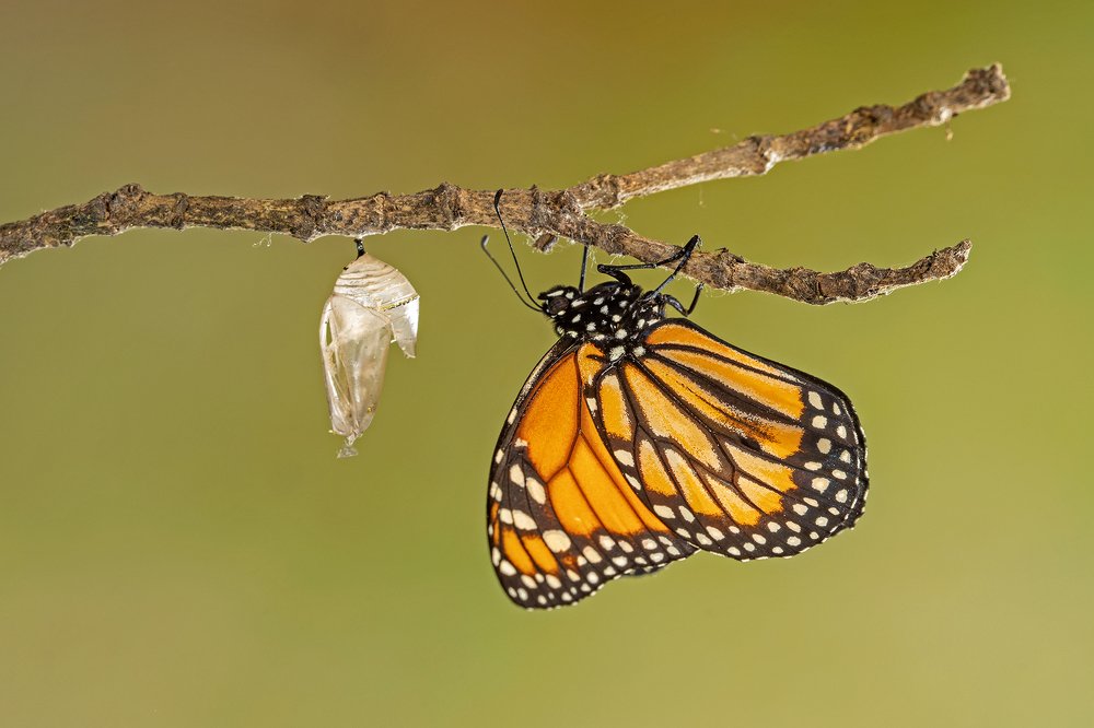 Photograph by Esteban Argerich