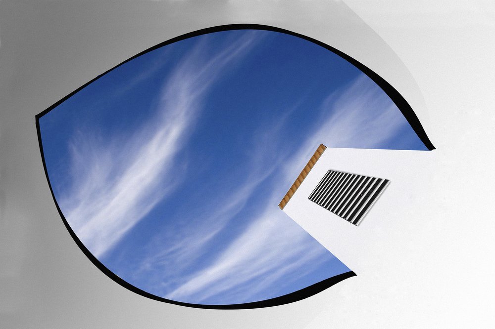 Photograph by Zoltan Bisak