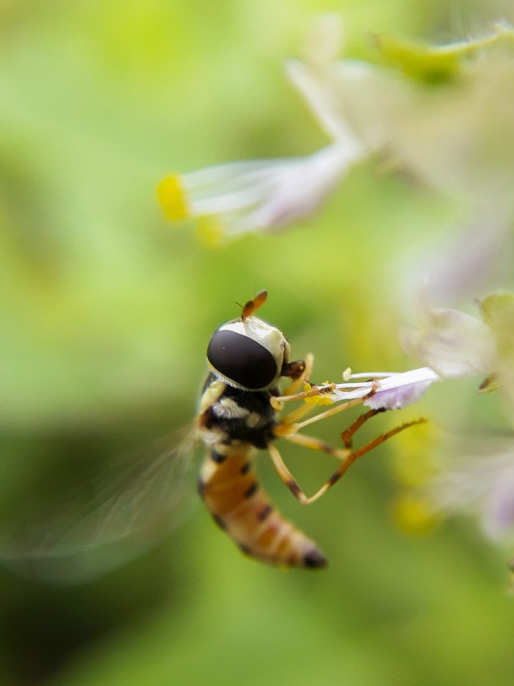 Photograph by Dhaval Solanki