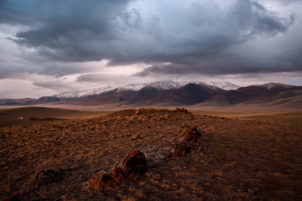 Photograph by Диана Цуркан