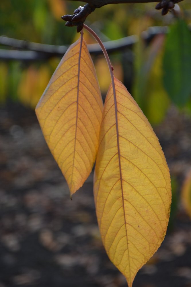 Photograph by Natalia Vishnyakova