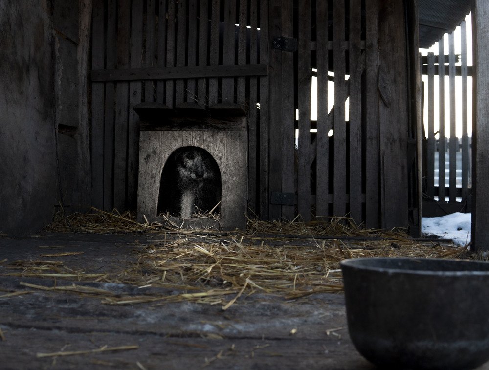 Photograph by Эльза Валеева