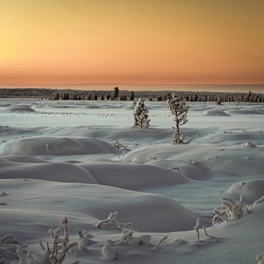 Безмолвие севера