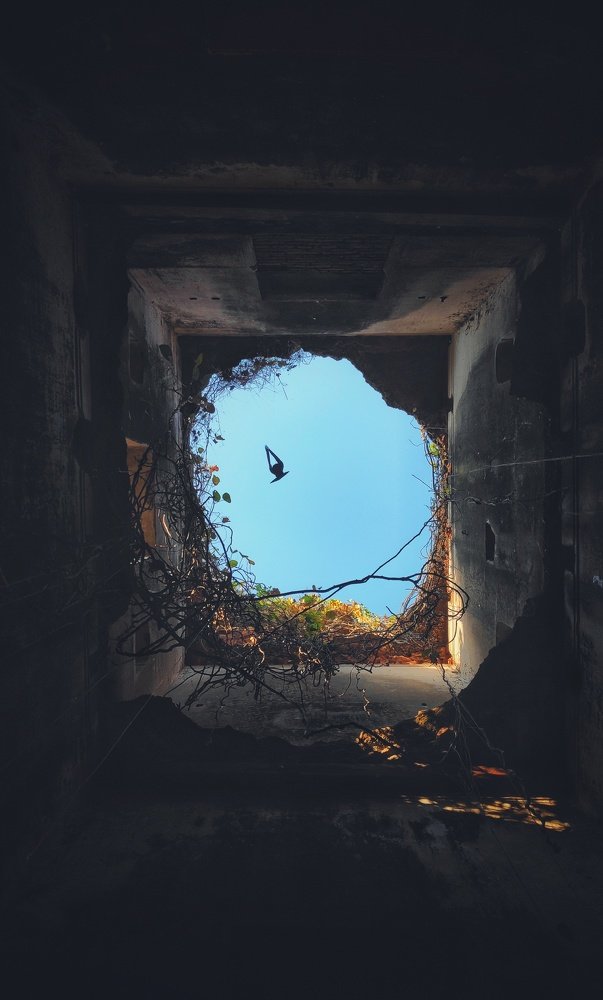Free from cage