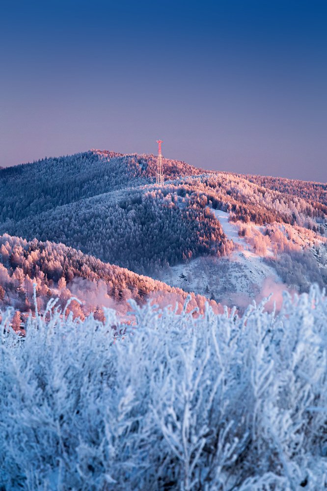 Photograph by Виктор Шешуков