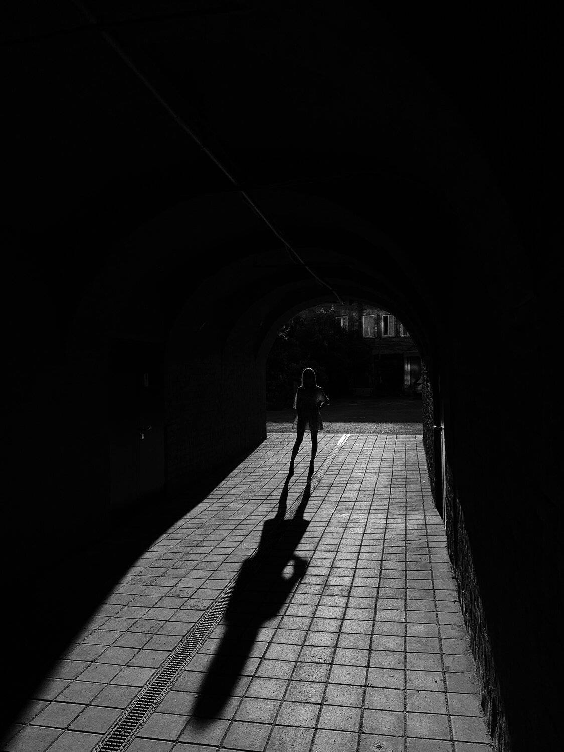 Photo #5393564