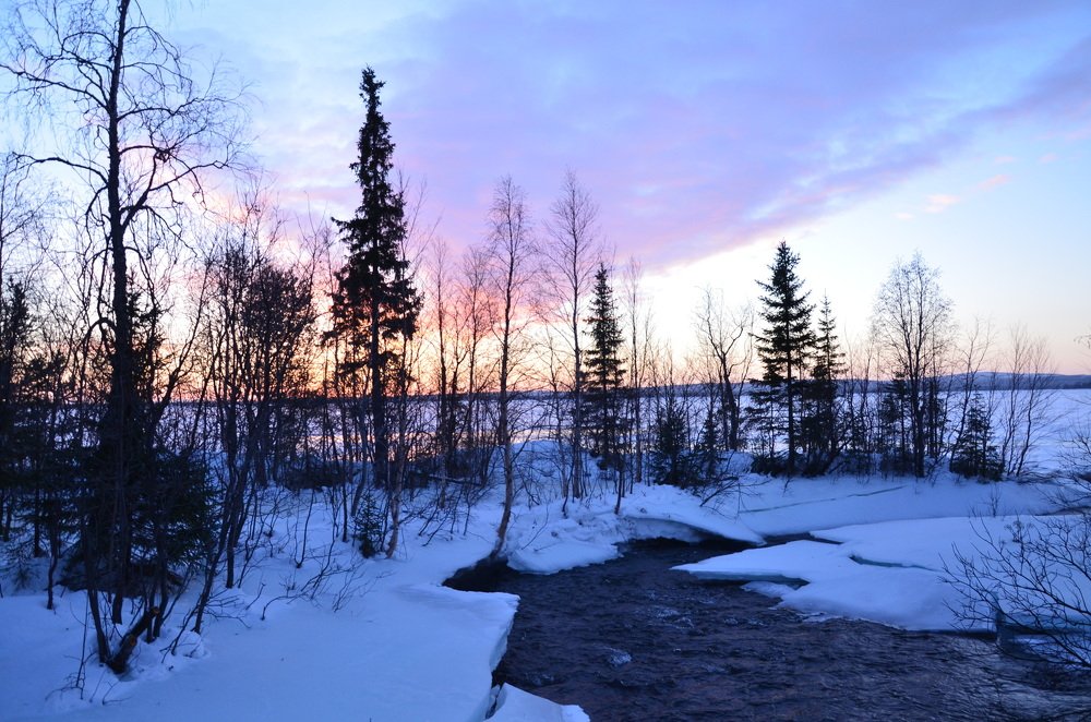 Photograph by Ирина Алексеевна Дудаль-Вологодская