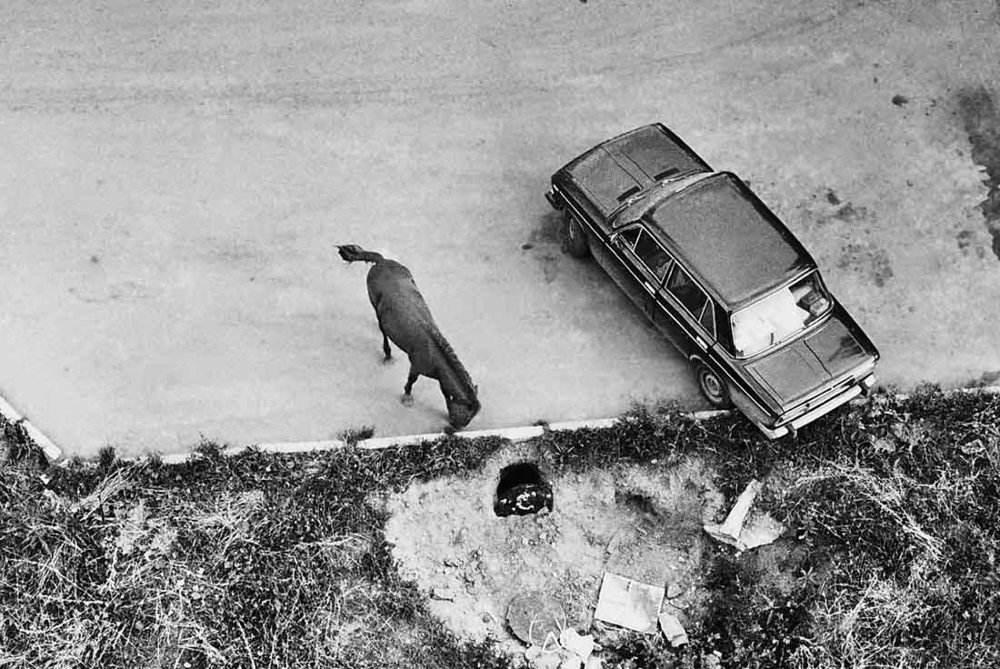 Photograph by Игорь Пшеничников