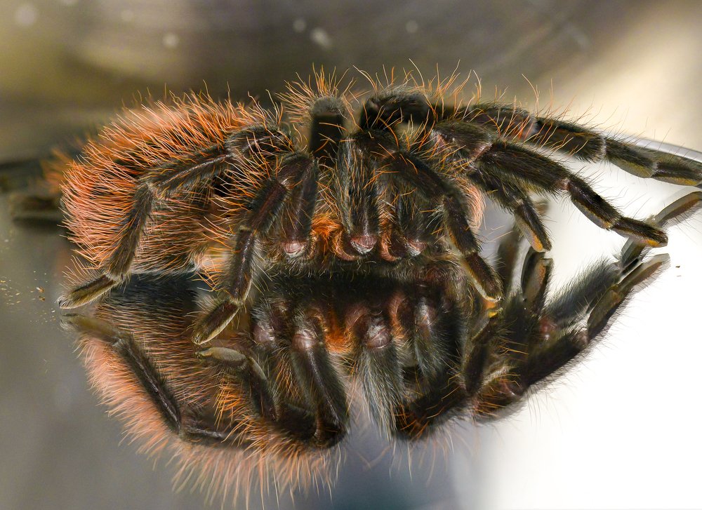 Photograph by Олег Урасов