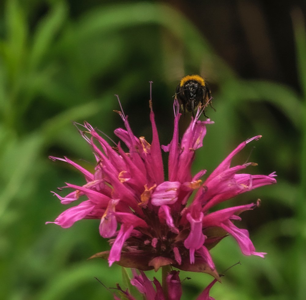 Photograph by Армашов-Тельник Григорий