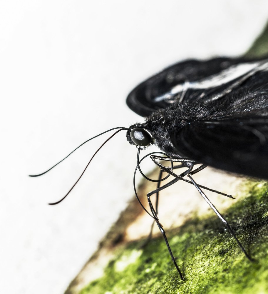 Photograph by Армашов-Тельник Григорий