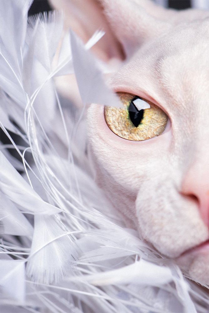 Photograph by Татьяна Полякова