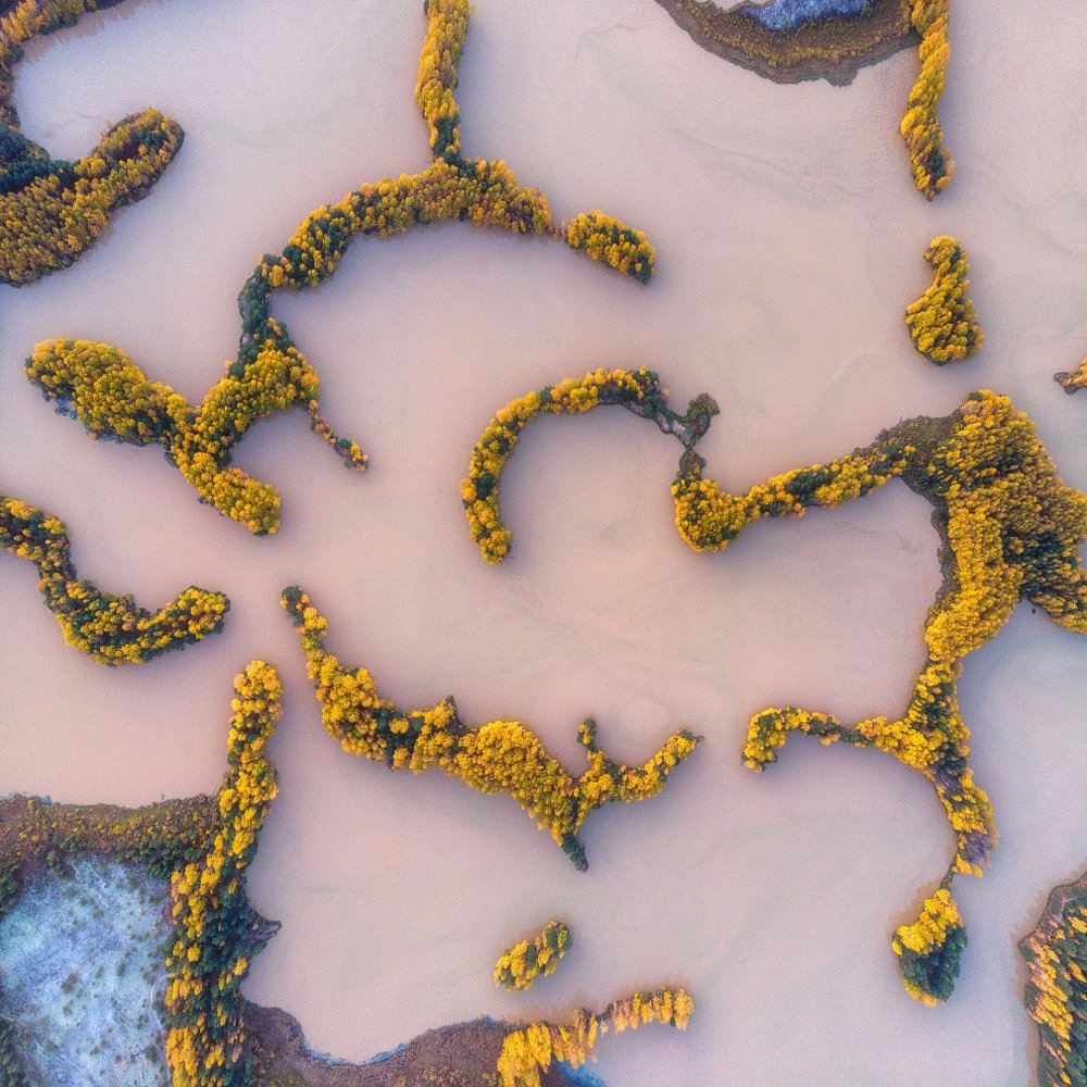 Photograph by Устюжанин Михаил