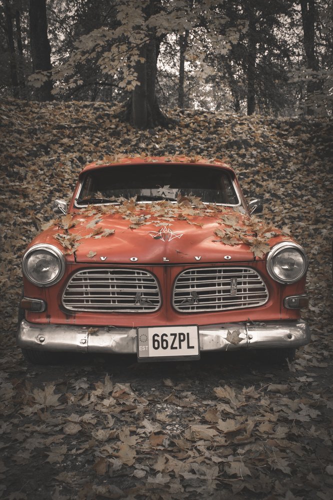 Photograph by Farzaneh Zareei