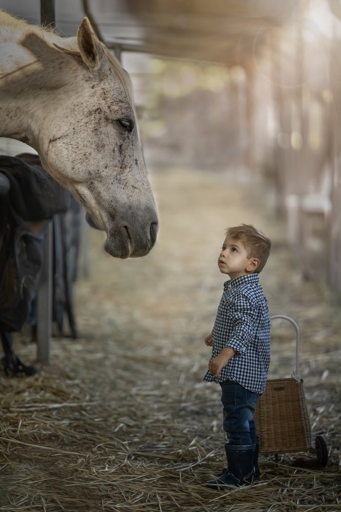 Фотография автора Osher Eden pashinsky