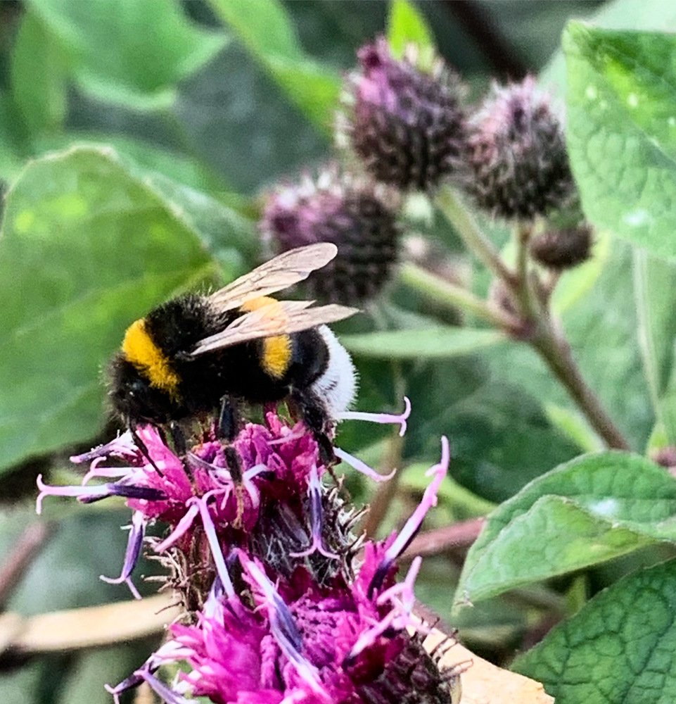 Photograph by Екатерина Василькова