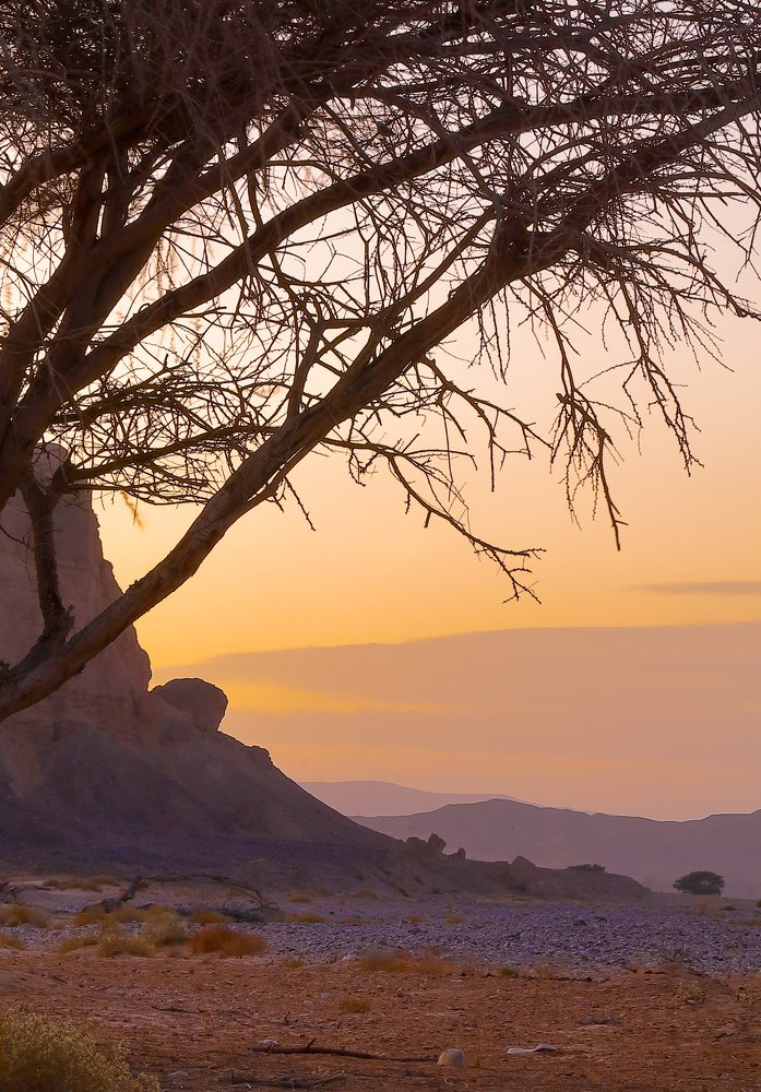 Photograph by Дмитрий Самборский