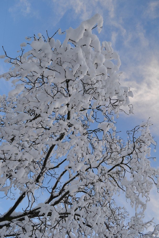 Photograph by Natalia Vishnyakova