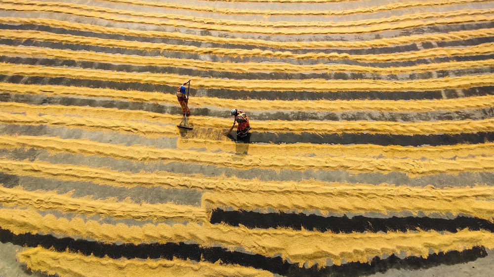 Photograph by SUBRATA DAS