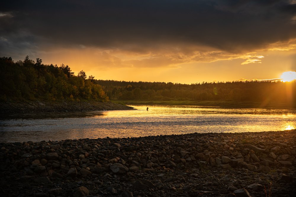 Вечерняя рыбалка