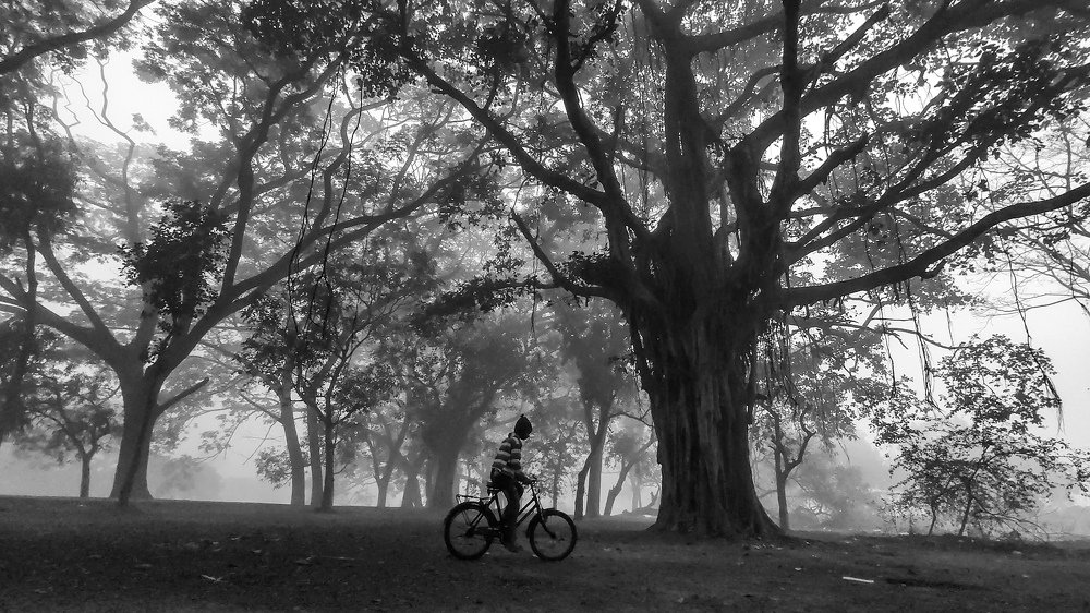 Photograph by SUBRATA DAS