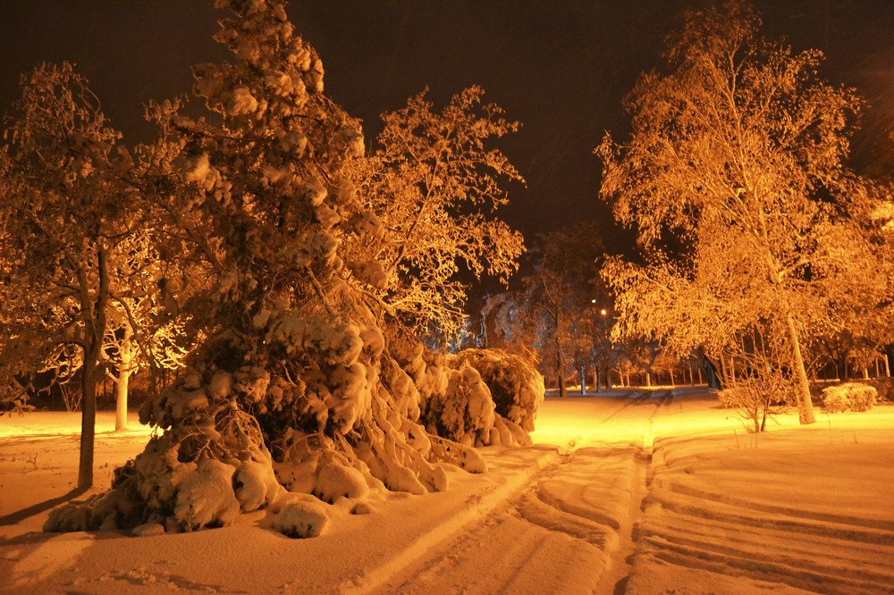 зимняя сказка