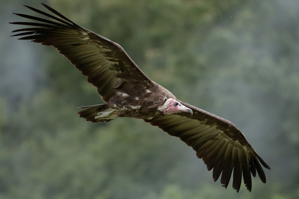 Фотография автора MARIA KULA