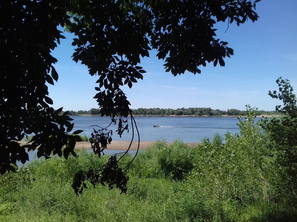 Photo #5394099