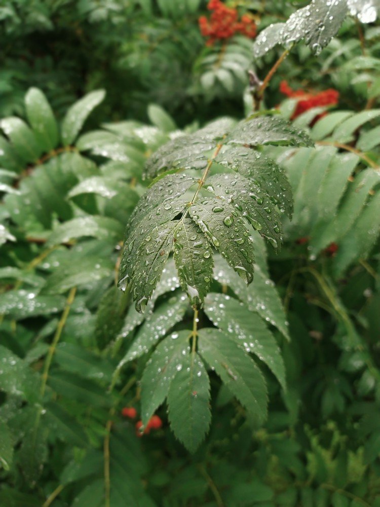 Photograph by Игорь Улитин