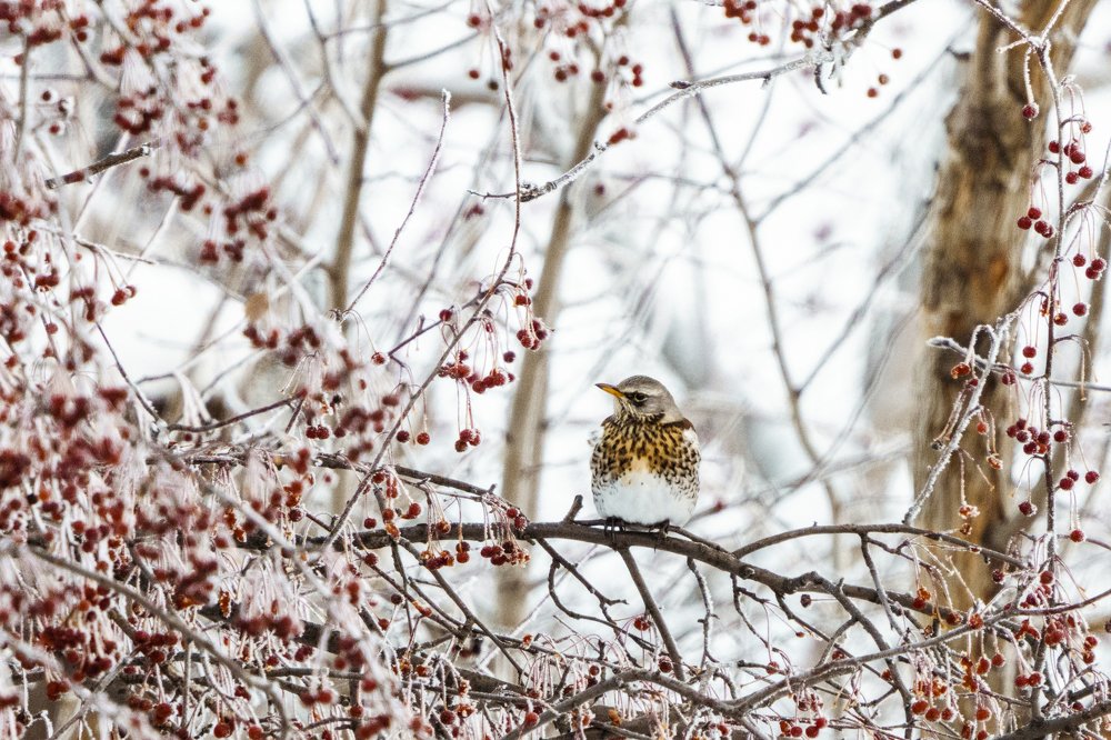 Photograph by Игорь Травкин