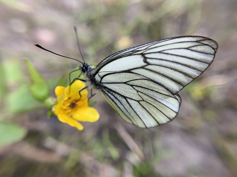 Photograph by Ирина Степанова