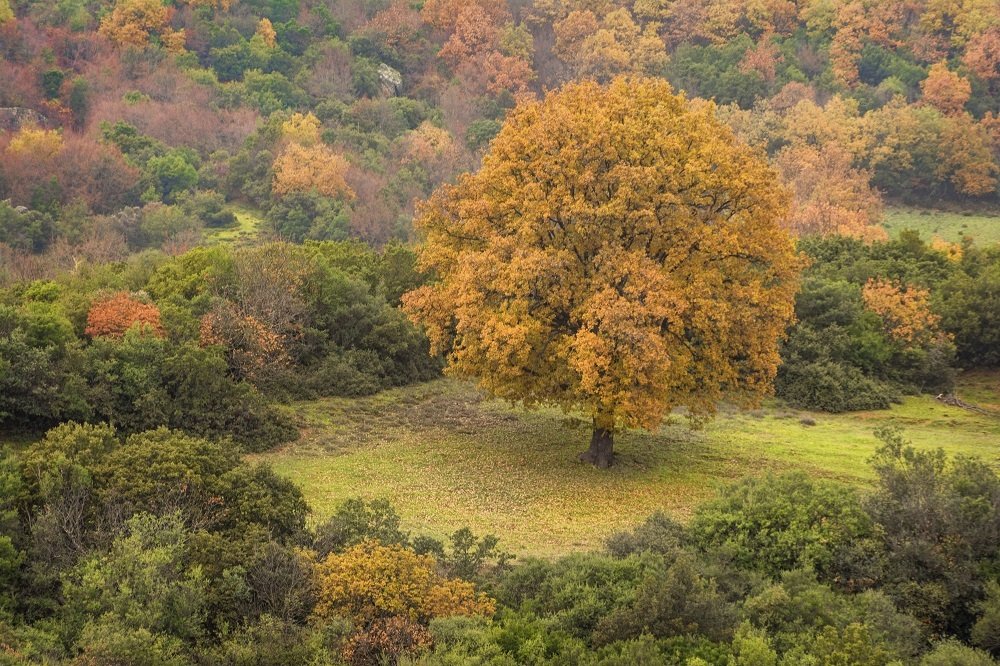 Photograph by Teodora Ivanova