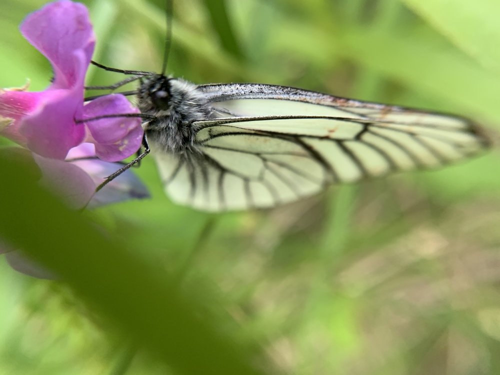 Photograph by Ирина Степанова