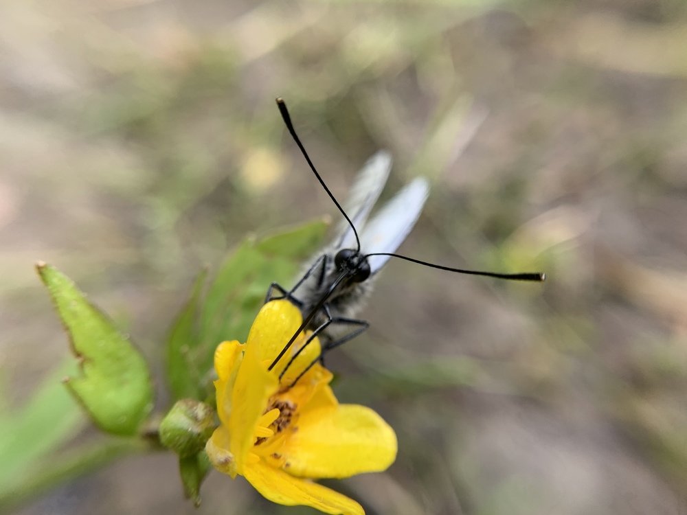 Photograph by Ирина Степанова