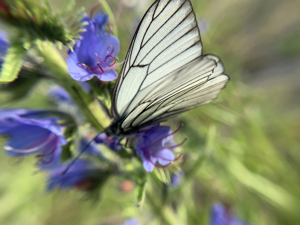 Photograph by Ирина Степанова